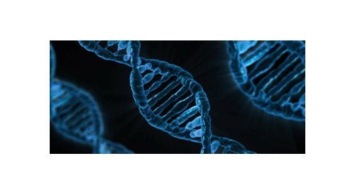 What is the potential for personalized genomics and epigenetics in cosmetic science?