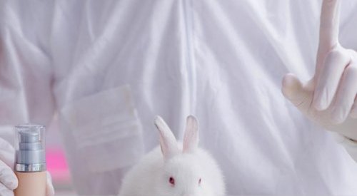 Colombia to ban use of animals in cosmetics testing by 2024