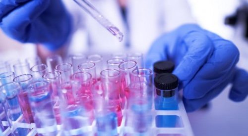 Cellules de rose et plancton thermal : la biotech au service des cosmétiques