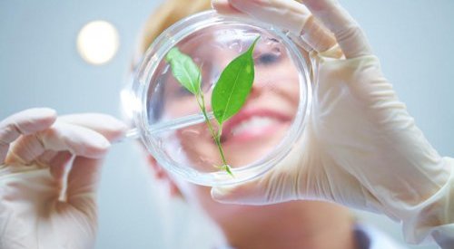 DNA & Cosmetics to promote the traceability of natural resources