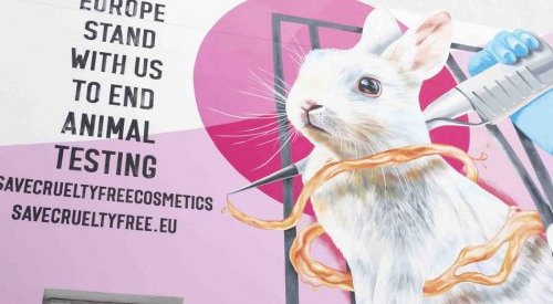 Le ton monte contre l'ECHA pour préserver l'interdiction des tests sur animaux
