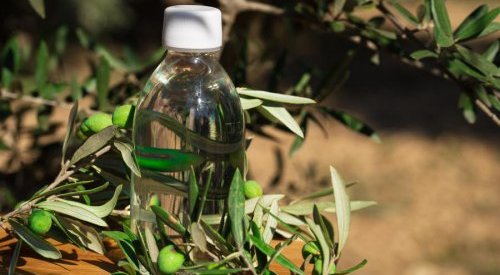 Sophim : Un squalane végétal, durable et vertueux issu de la culture de l'olive