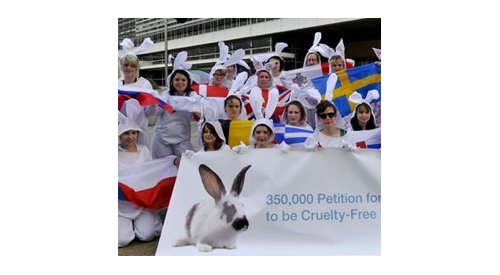 High Court refers questions about the scope of the ban on animal testing of cosmetics to the ECJ