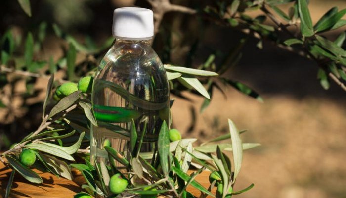 Sophim: a virtuous, sustainable squalane derived from olive cultures