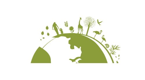 Sustainability: Asian consumers increasingly aware of biodiversity