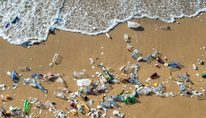 “They're everywhere”: microplastics in oceans, air and human body