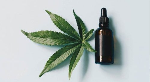 After CBD, cosmetic science investigates the benefits of CBG