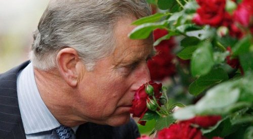 Prince Charles is launching a Highgrove-scented perfume with Penhaligon's