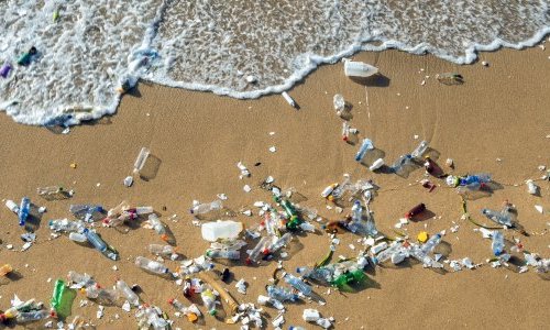 Des océans au corps humain, les microplastiques s'immiscent partout