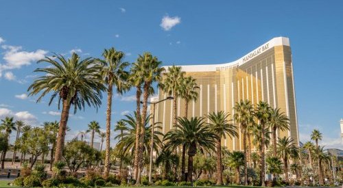 Trade shows: Cosmoprof North America successfully returned to Las Vegas