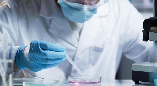 L'OCDE approuve les tests toxicologiques alternatifs de BASF et Givaudan