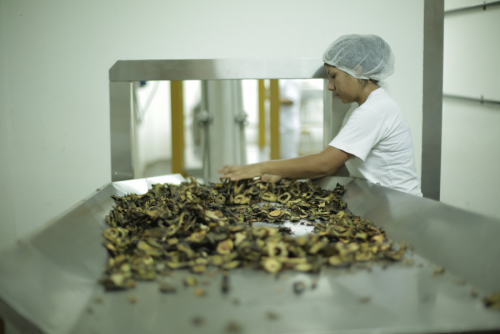 Sorting of dried avocado slices at our plant in Peru